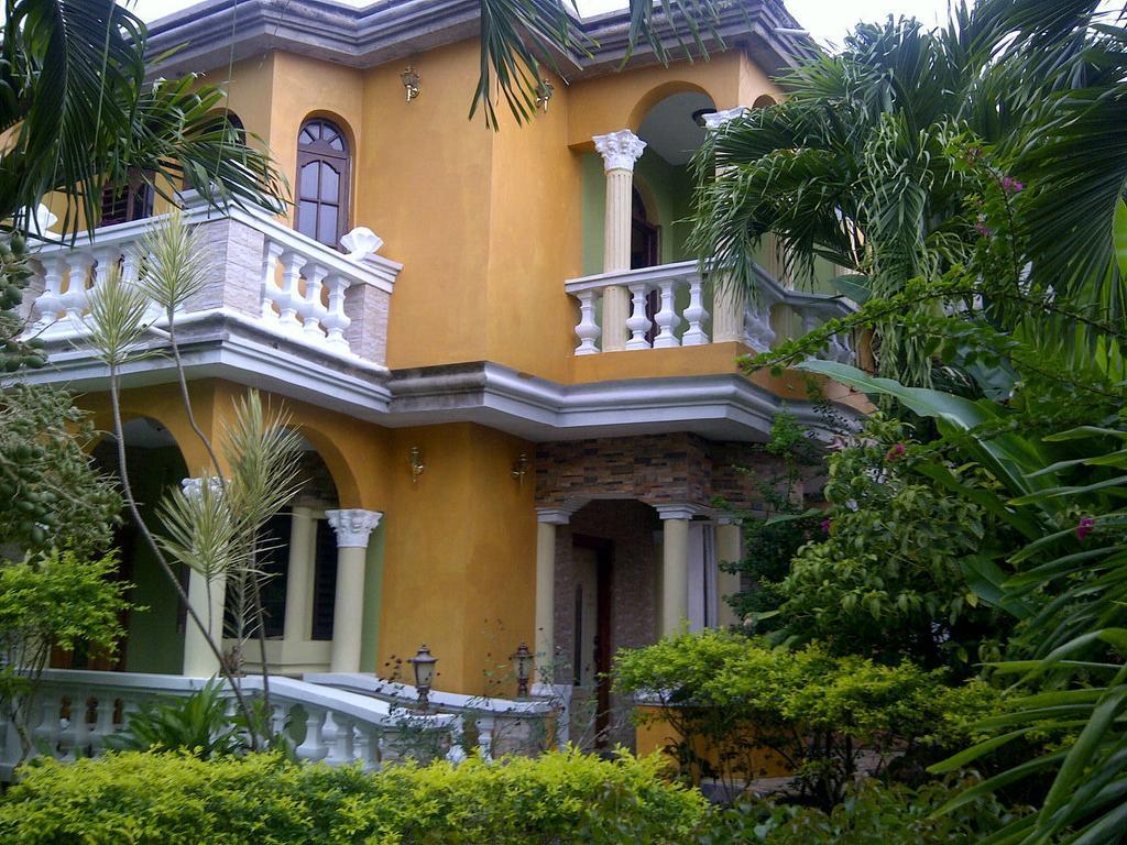 Eddies Tigress 2 Negril Rom bilde