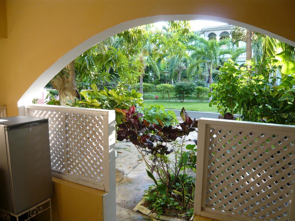 Eddies Tigress 2 Negril Rom bilde