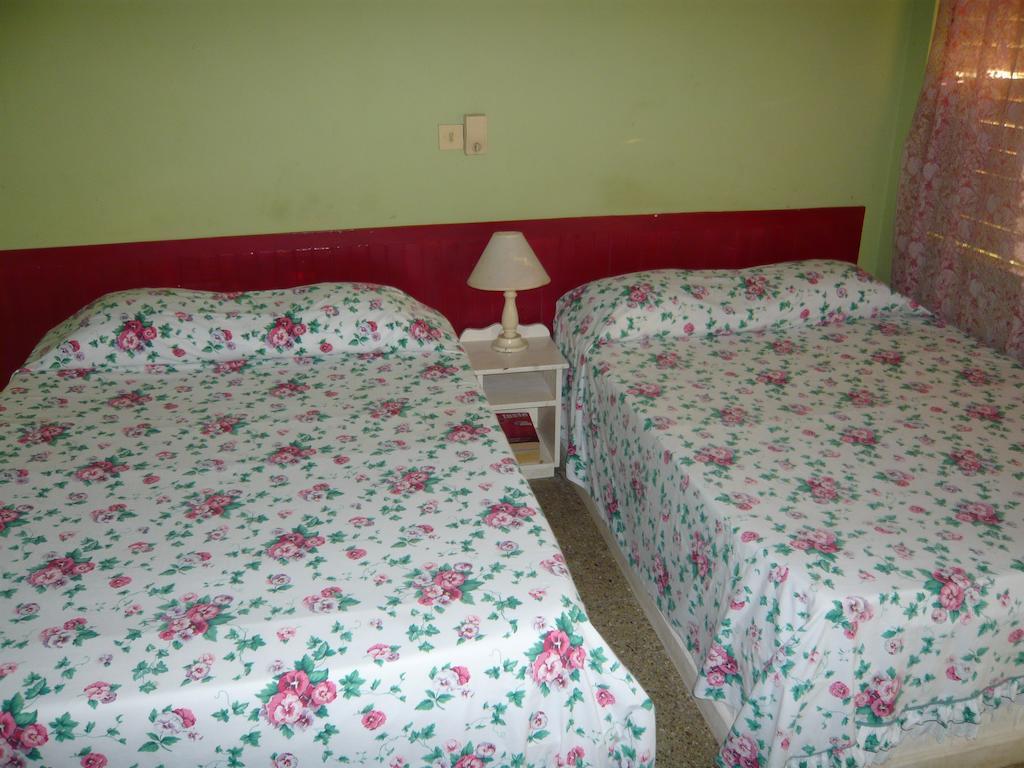 Eddies Tigress 2 Negril Rom bilde